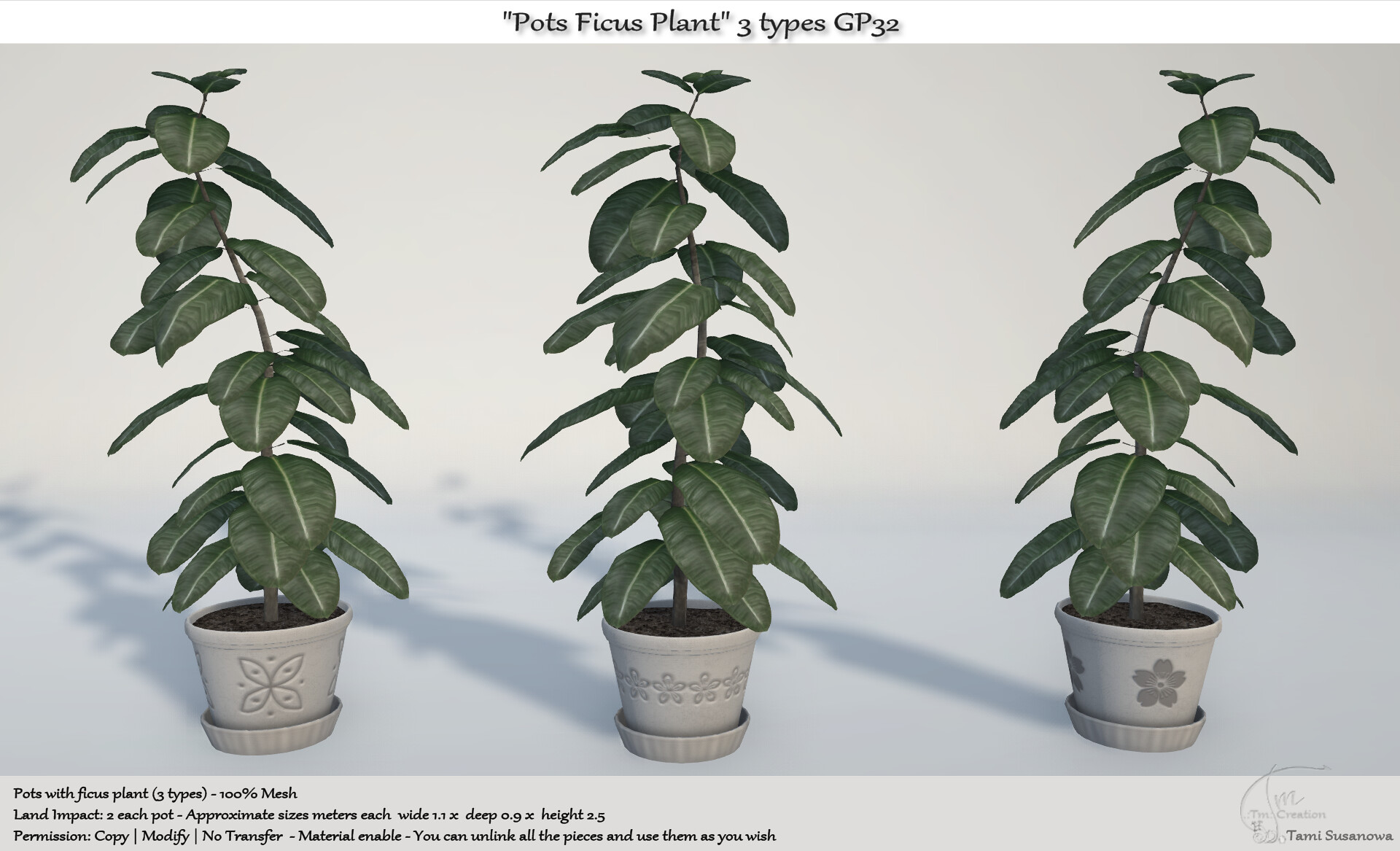 Tm Creation – Pots Ficus Plant