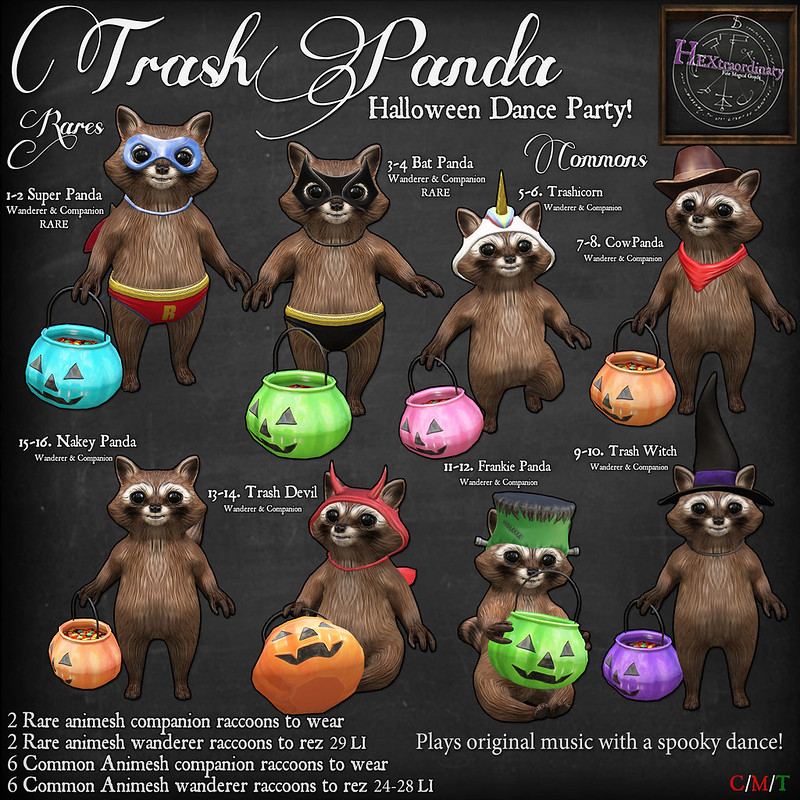 HEXtraordinary – Trash Pandas