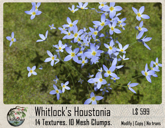 Konoha – Whitlocks Houstonia