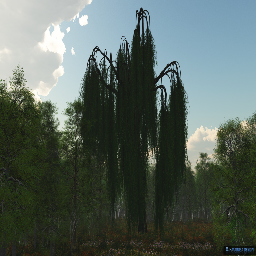 Hayabusa Design – Willow Trees – All Seasons