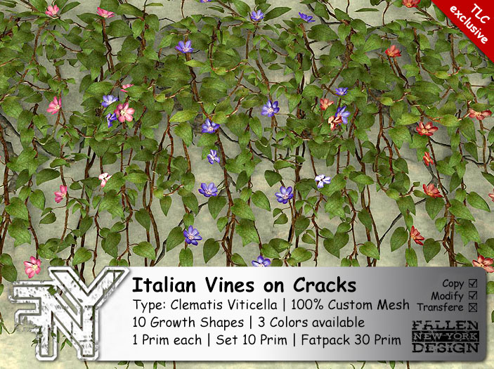 FNY – Italian Vines on Cracks
