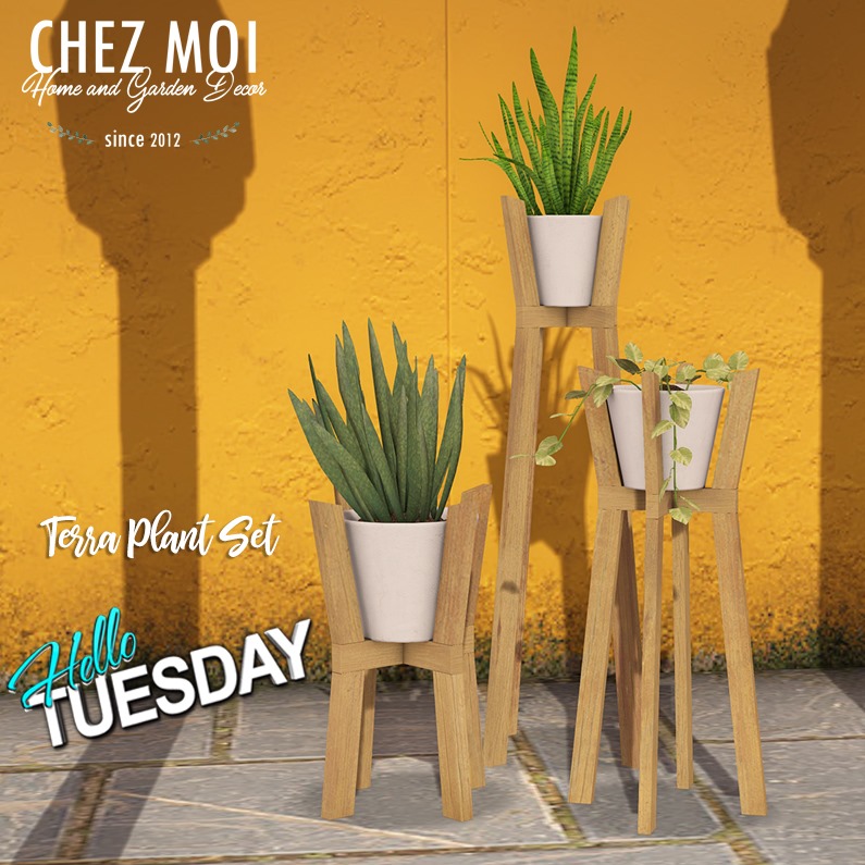 Chez Moi – Terra Plant Set