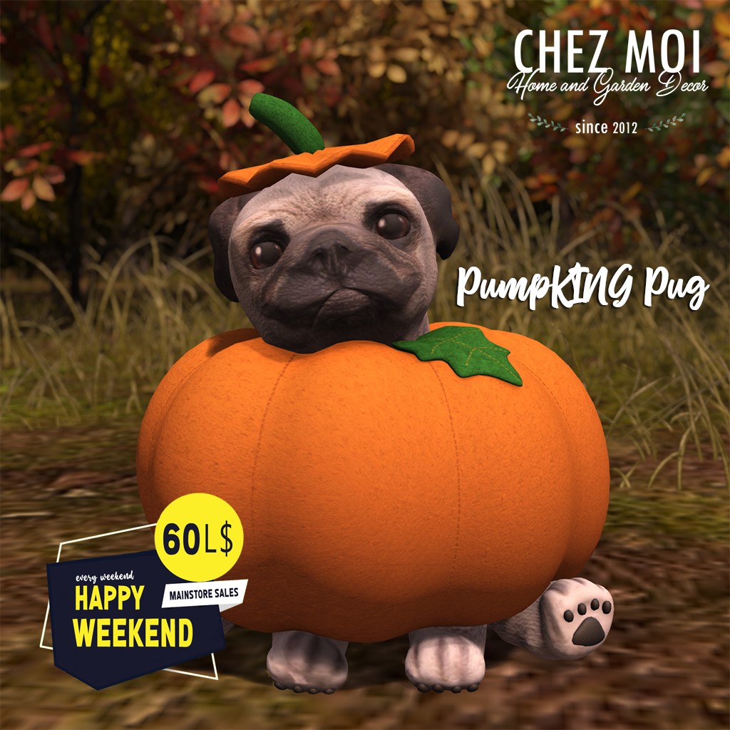 Chez Moi – PumpKing Pug