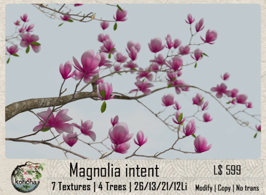 Konoha – Magnolia Intent