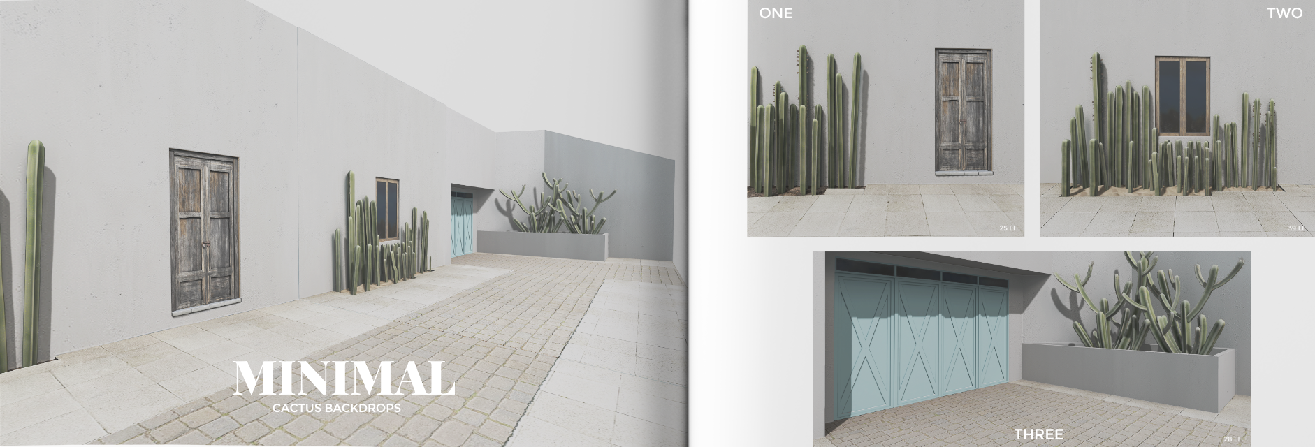 Minimal – Cactus Backdrops