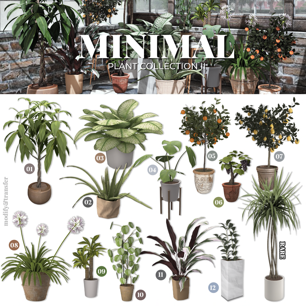 Minimal – Plant Collection II