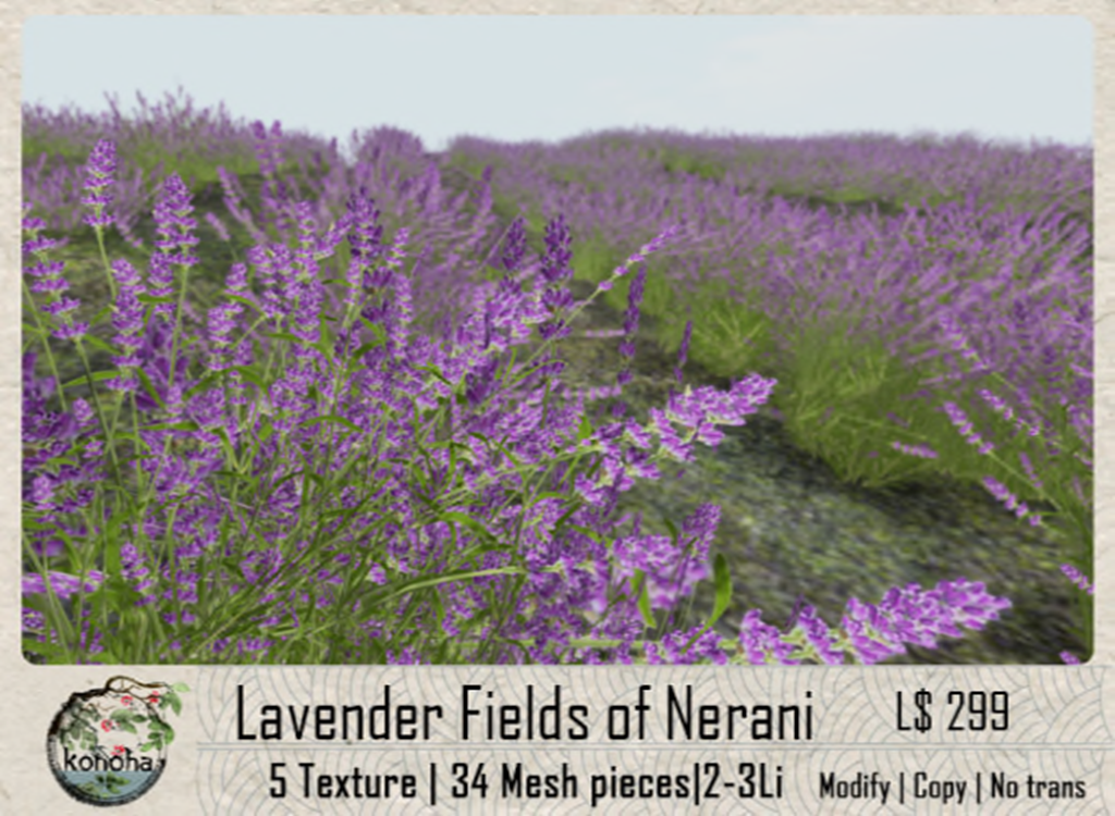 Konoha – Lavender Fields of Nerani