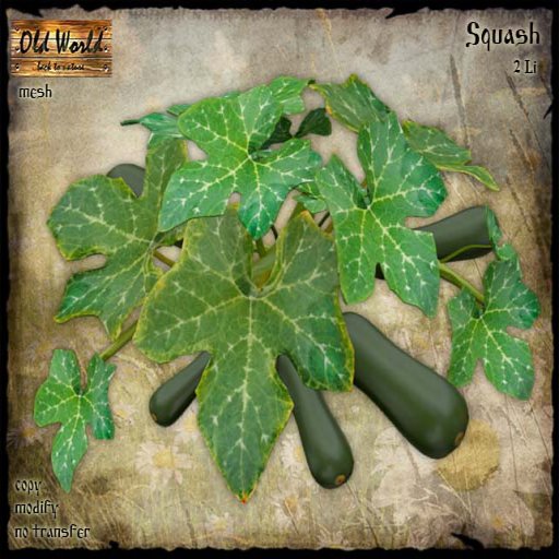 Old World – Dark Green Squash