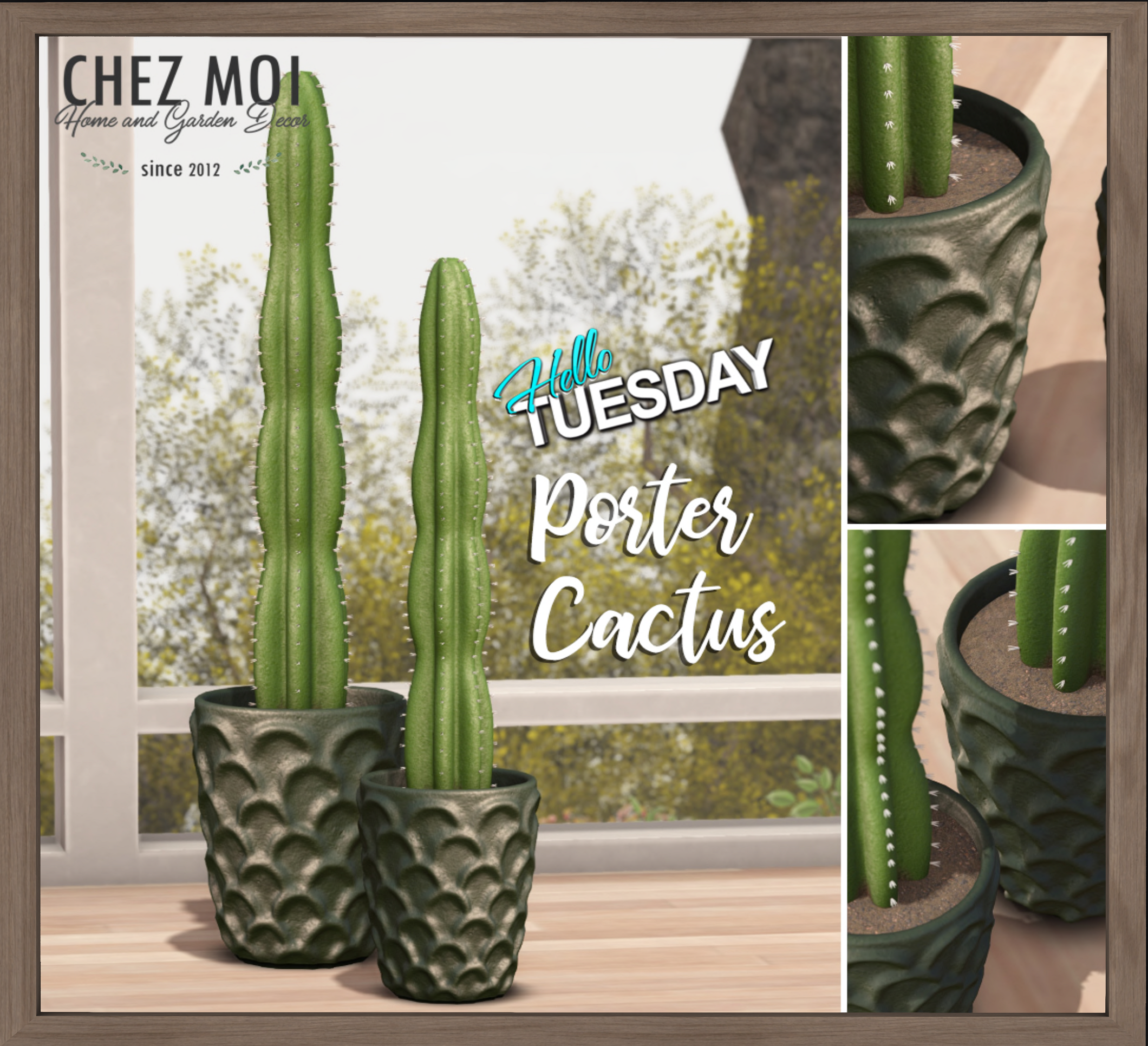 Chez Moi – Porter Cactus