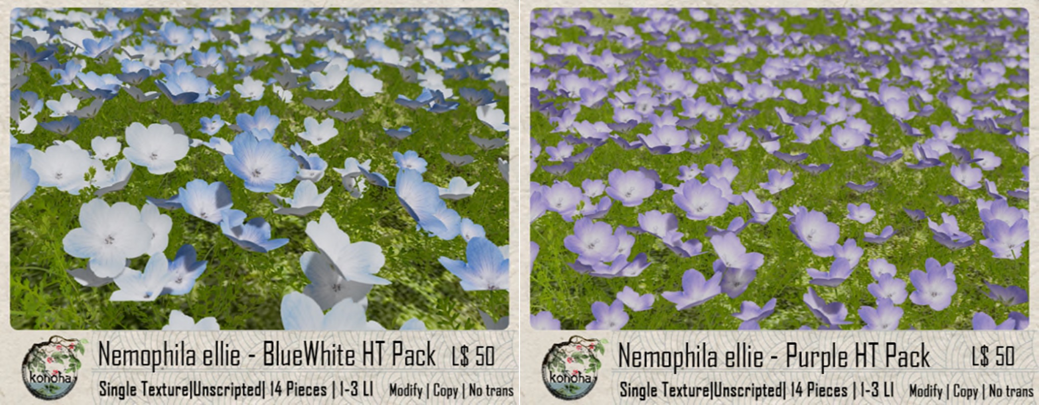 Konoha – Nemophila ellie (BlueWhite & Purple)