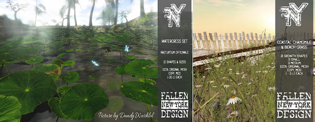 FNY – Watercress Set & Coastal Chamomile and Beach Grass