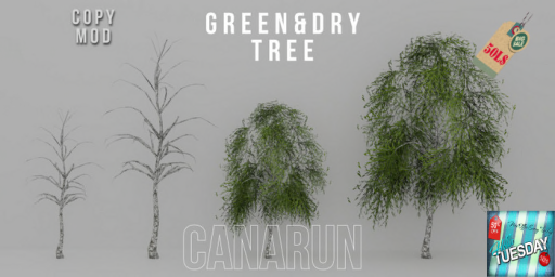 Canarun – Green & Dry Tree