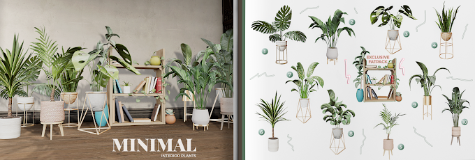 Minimal – Interior Plants