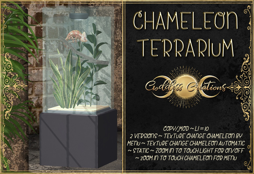 Goddess Creations – Chameleon Terrarium – 50% Off