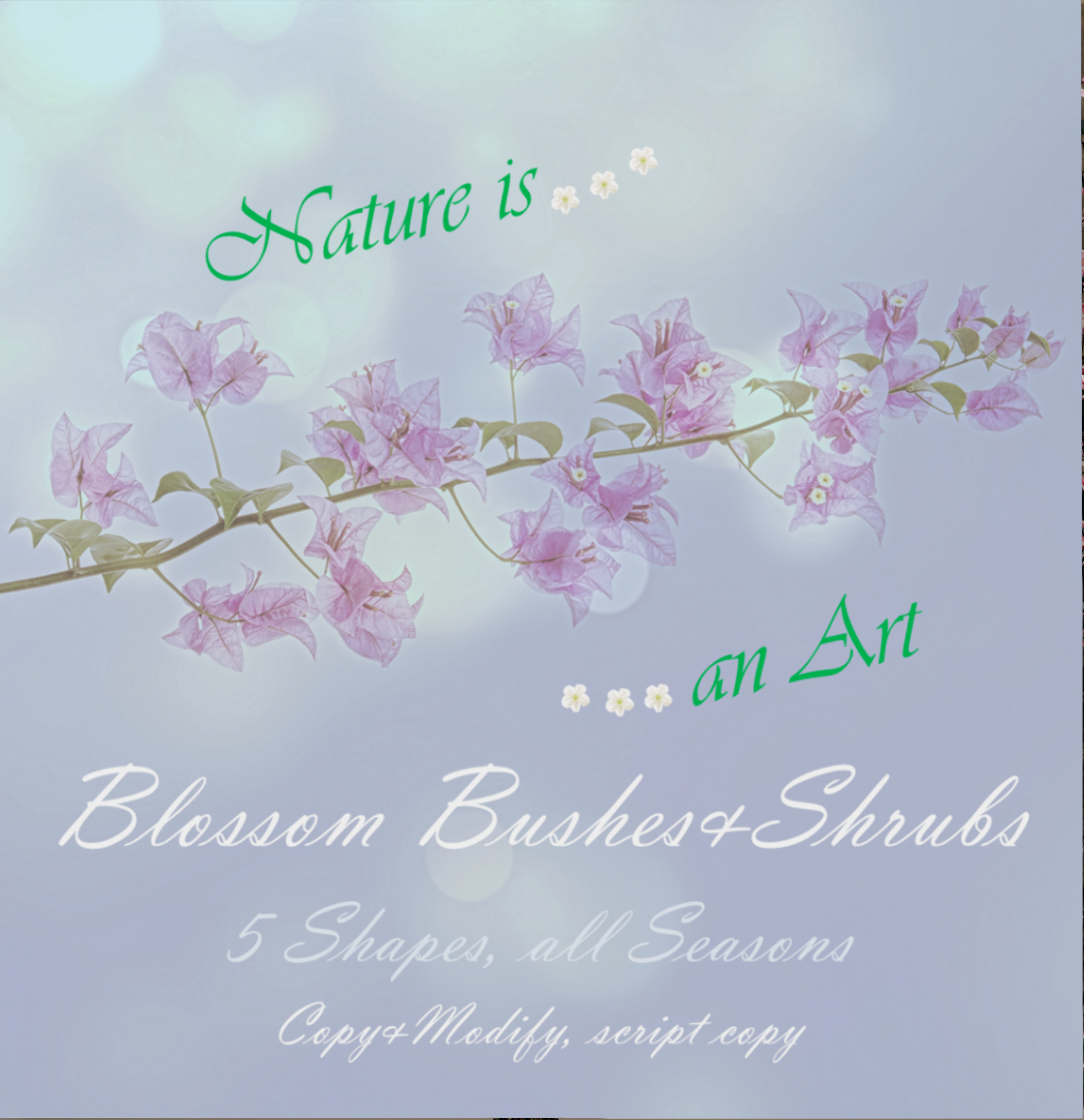 Nature is an Art – Blossom Bushes and Shrubs