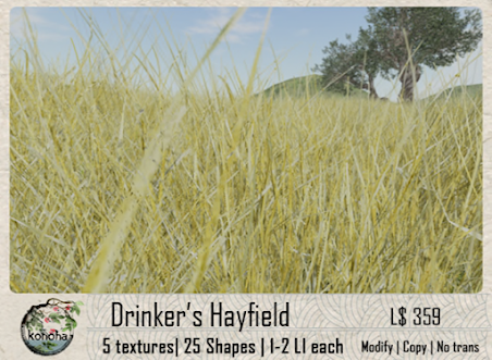 Konoha – Drinker’s Hayfield