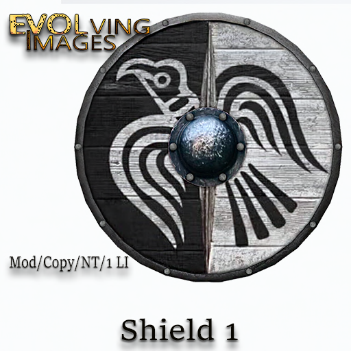 EVOLving Images – Viking Style Shield