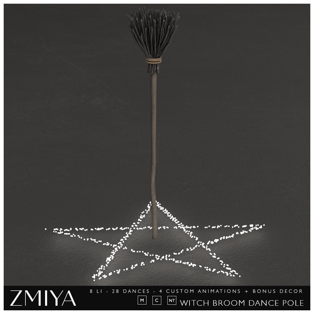 Zmiya – Witch Broom Dance Pole