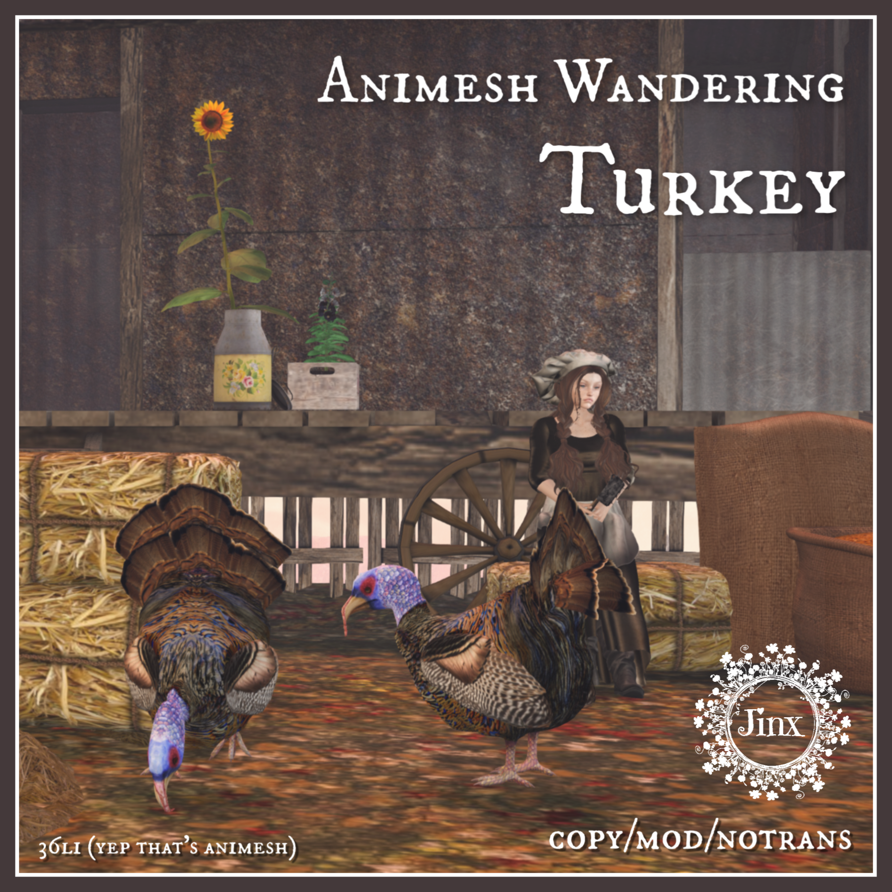 Jinx – Animesh Turkeys