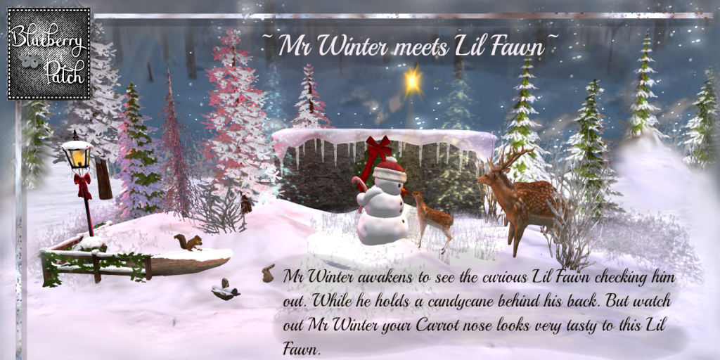 Blueberry Patch – Mr Winter meets Lil Fawn