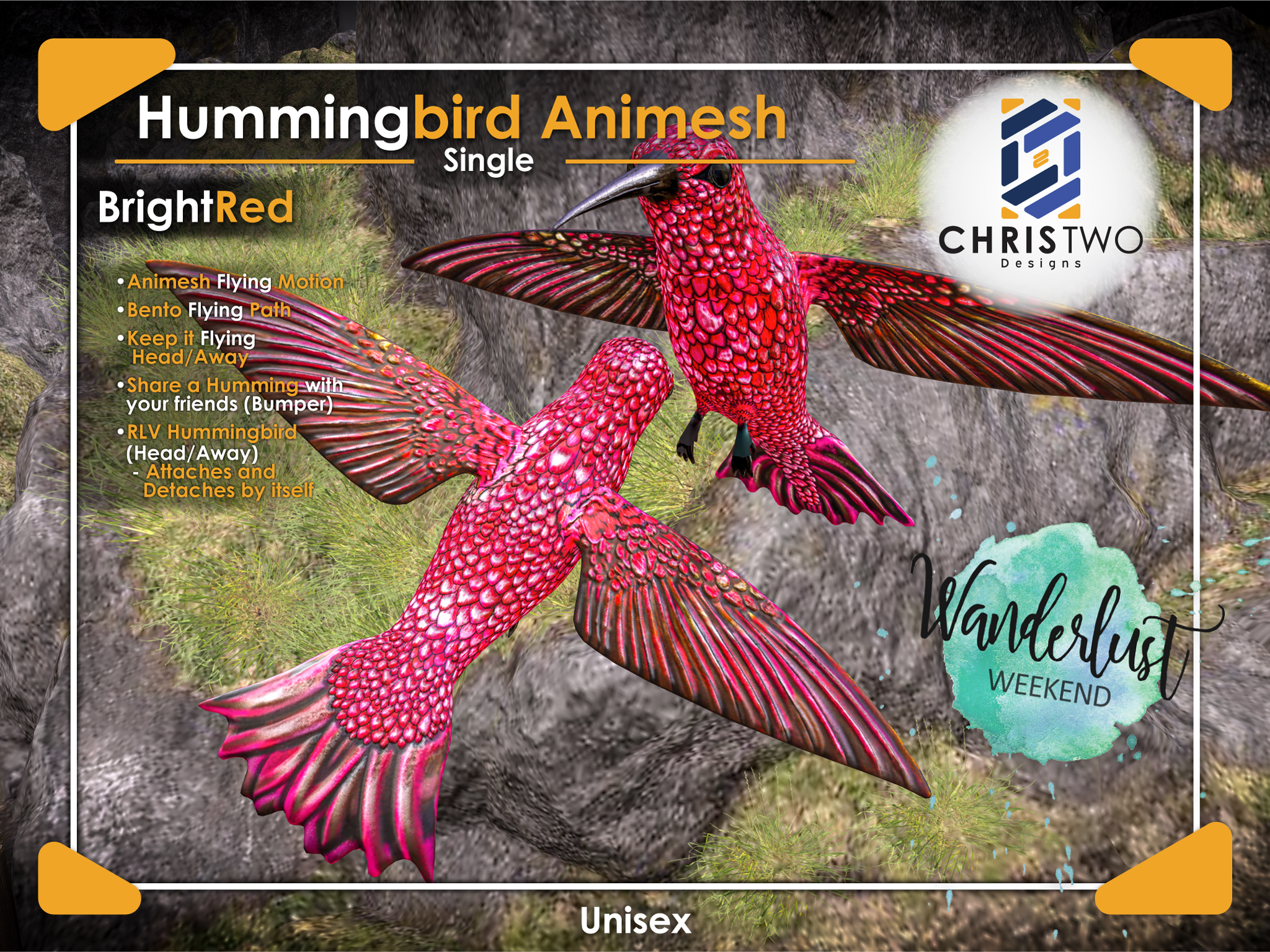 Chris Two Designs – Hummingbird Animesh