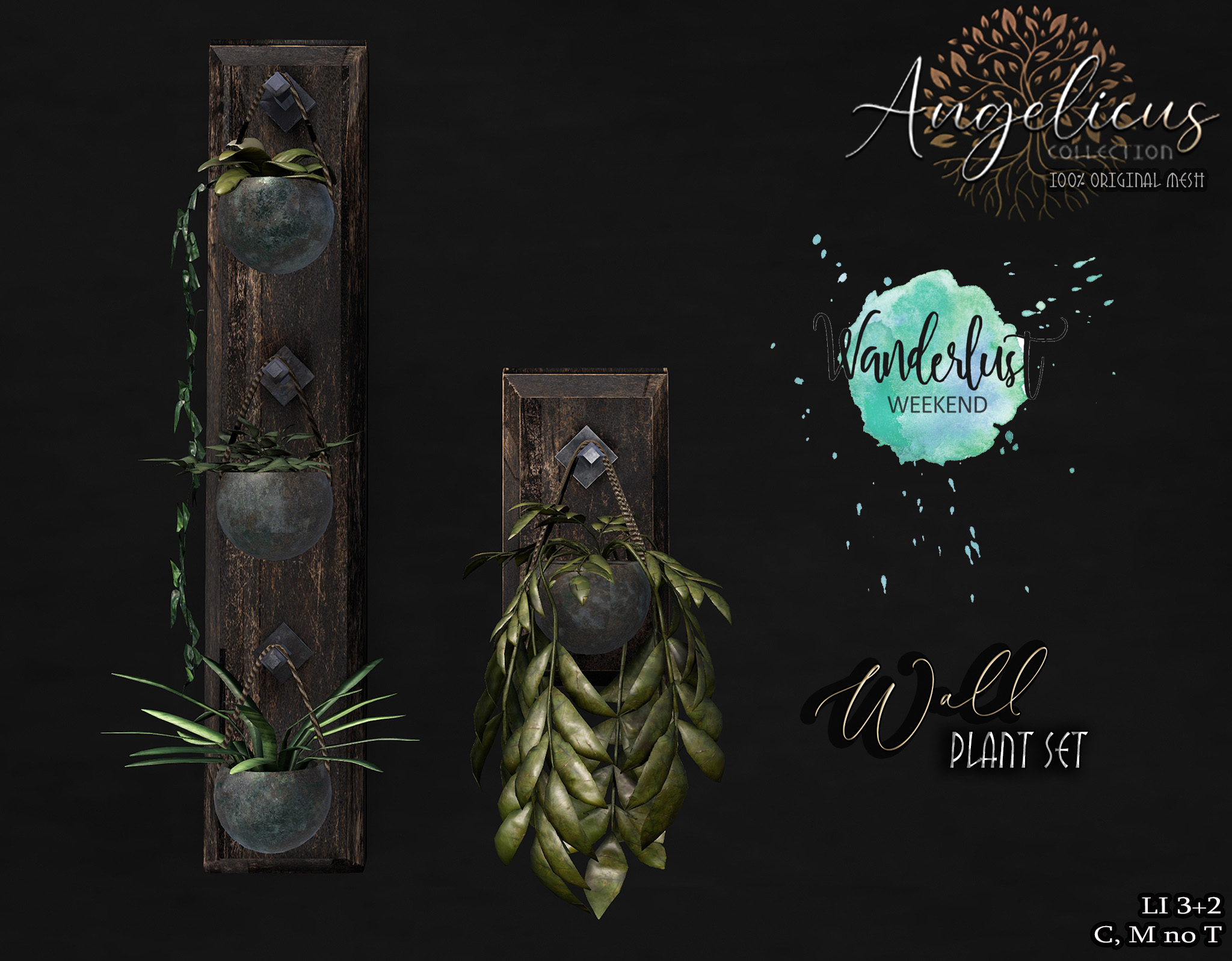 Angelicus – Wall Plant Set