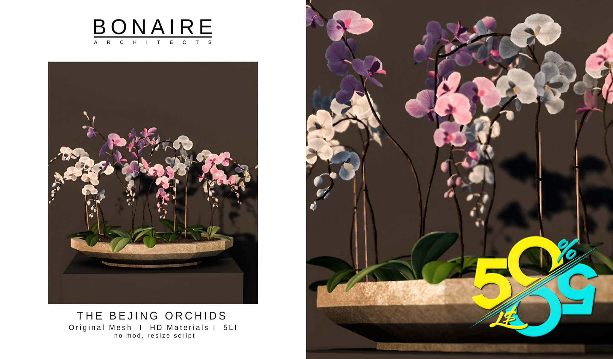 Bonaire – Beijing Orchids