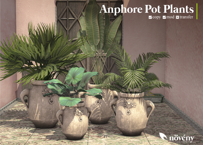 Növény – Anphore Pot Plants