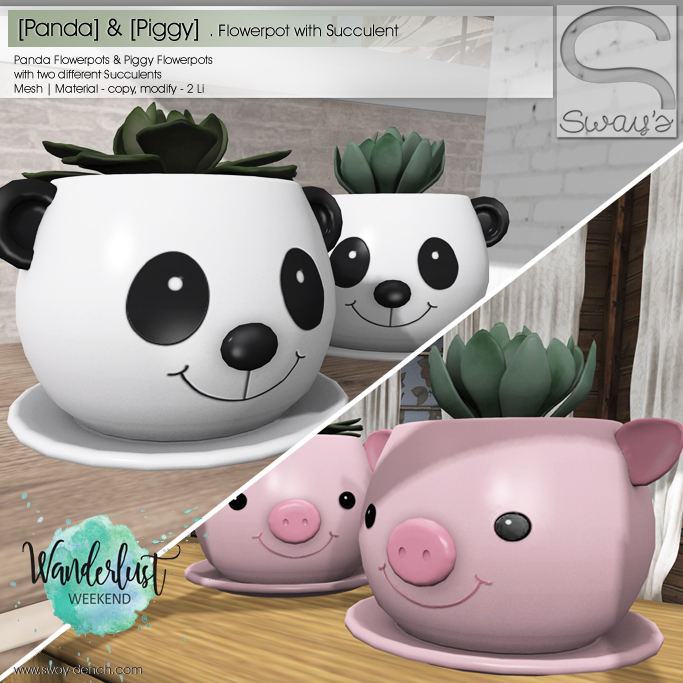 Sway’s – Panda & Piggy Flowerpot with Succulents