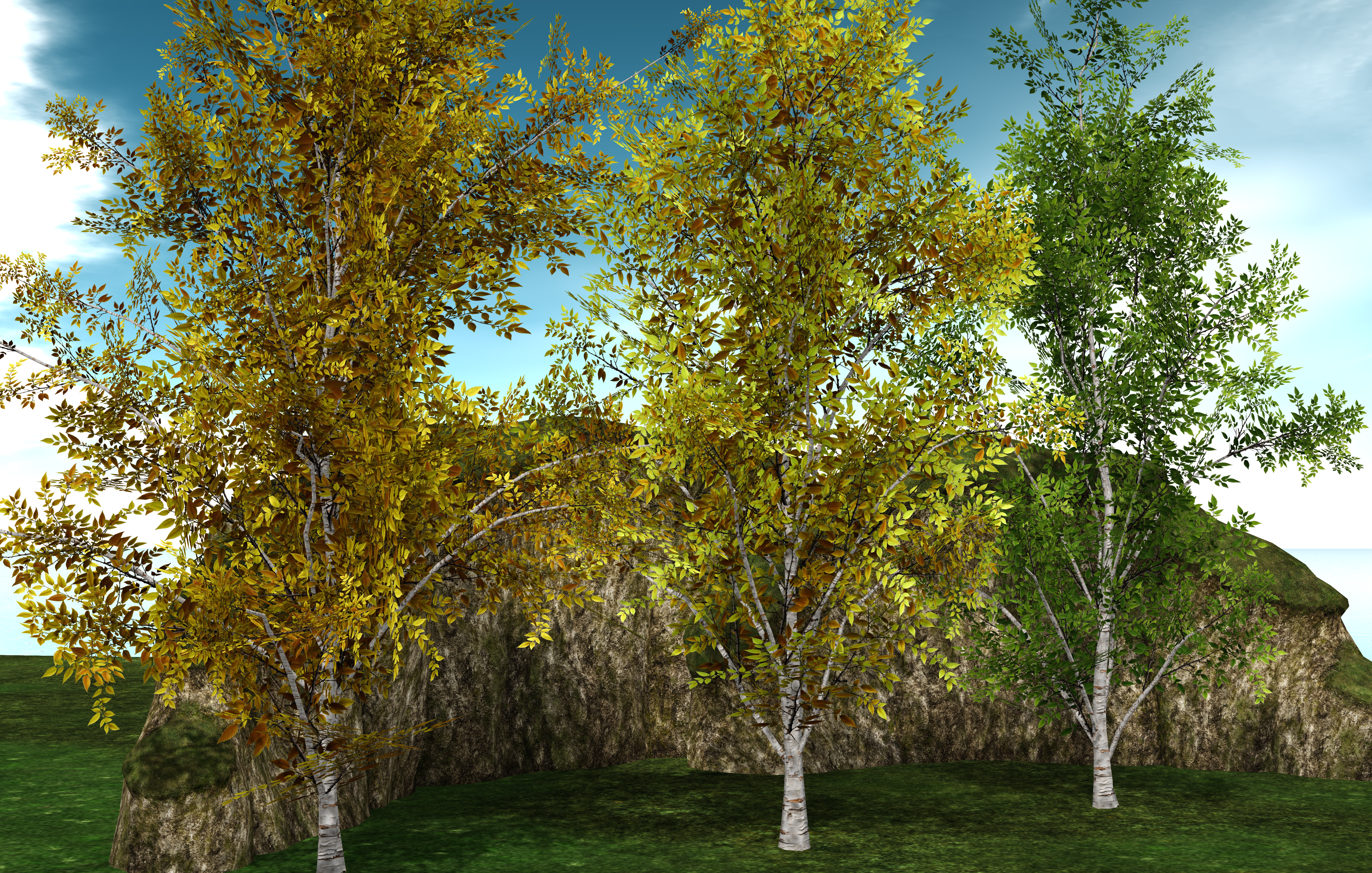 Nature is An Art – The Aspen Trees