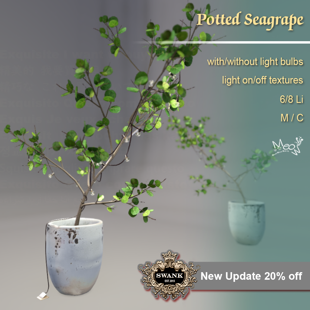 Meow – Potted Seagrape – 20% Off